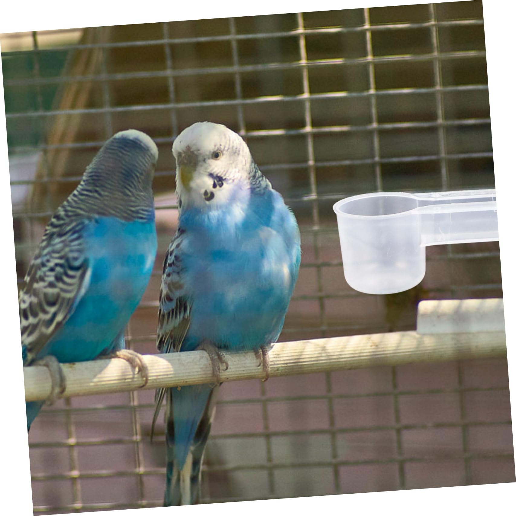Kisangel Bevitore per Uccelli a Doppia Uscita 10 Pezzi in Plastica Bianco, Facile da Pulire e Resistente per Piccioni e Pappagalli in Negozio di Animali o Zoo