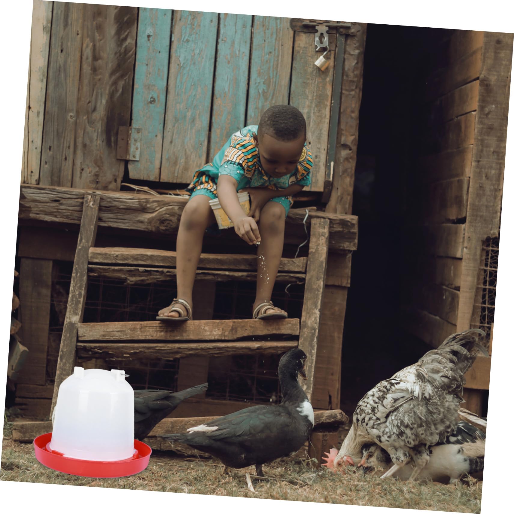 ORFOFE Abbeveratoio Automatico per Pollame e Pulcini, Secchio Acqua da 12 Litri in Plastica Spessa per Allevamento, Facile da Pulire e Smontare, Adatto a Fattorie e Galline Stili multipli