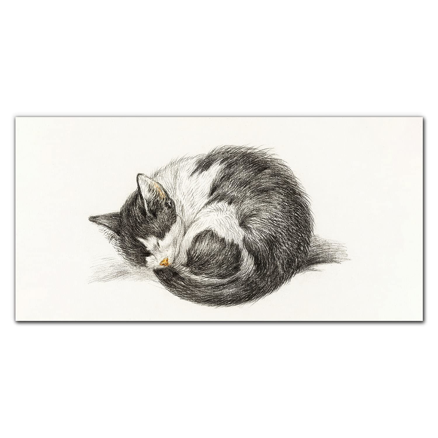 Crédence de cuisine en verre trempé 140x70cm pour protéger vos murs des taches de graisse
