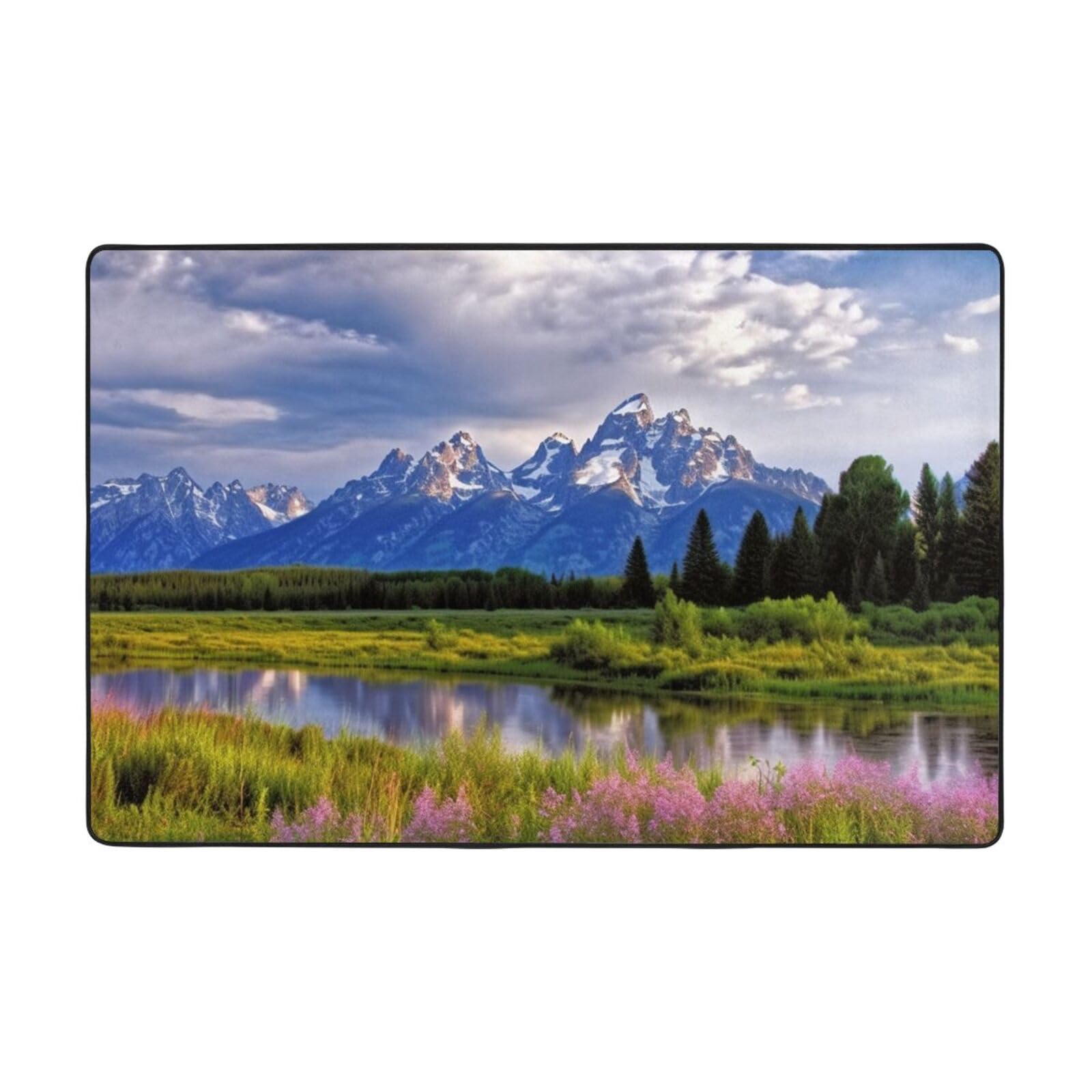 Modern Area Rug 36"X24",Short Plush Ultra Soft Entryway Carpet Washable Non Slip Floor Mats Grand Teton National Park Throw Rugs for Living Room