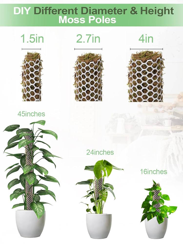 モスポール鉢5.5号3個 黒20cmモスポール水苔入り9本 半月型ポール10本 鉢モスポール 3セット 5.5号鉢(3個) 20cmモスポール(9本) 黒