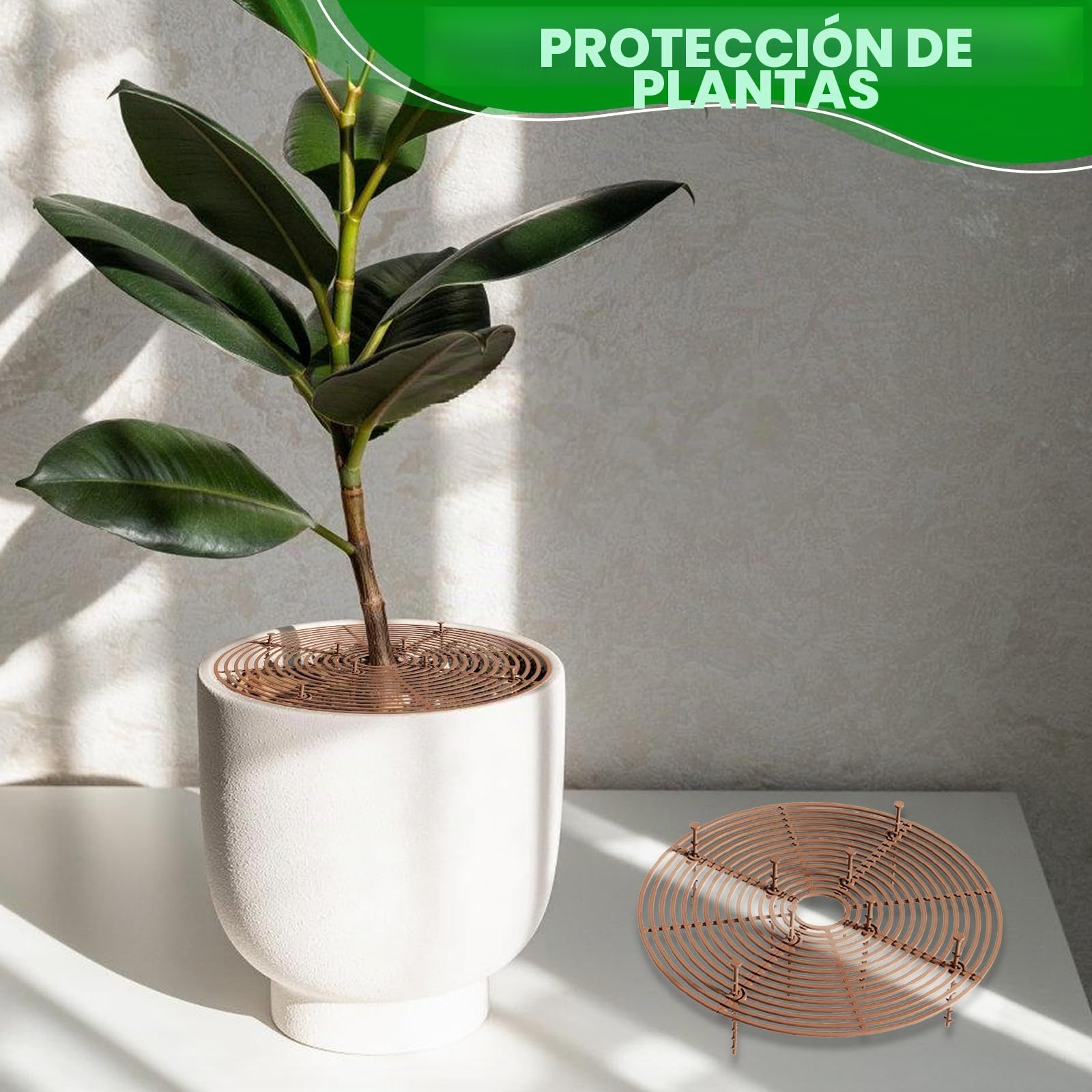 6 rejillas protectoras redondas para macetas, 30 cm, protector para macetas de gatos, color marrón