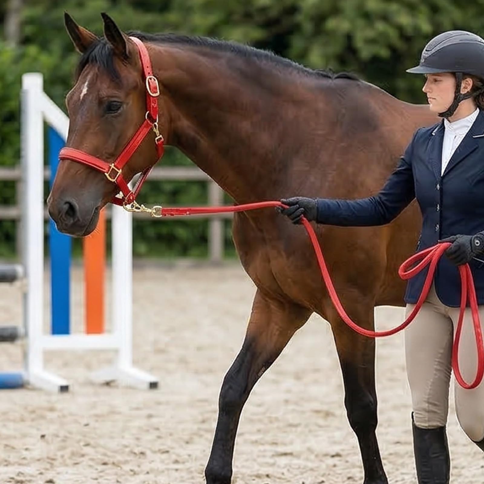 Caballo de cuero elegante de alta calidad con hebillas de aleación, impermeable y resistente al olor, para ecuestres, deportes, ecuestres, caballo, cabeza