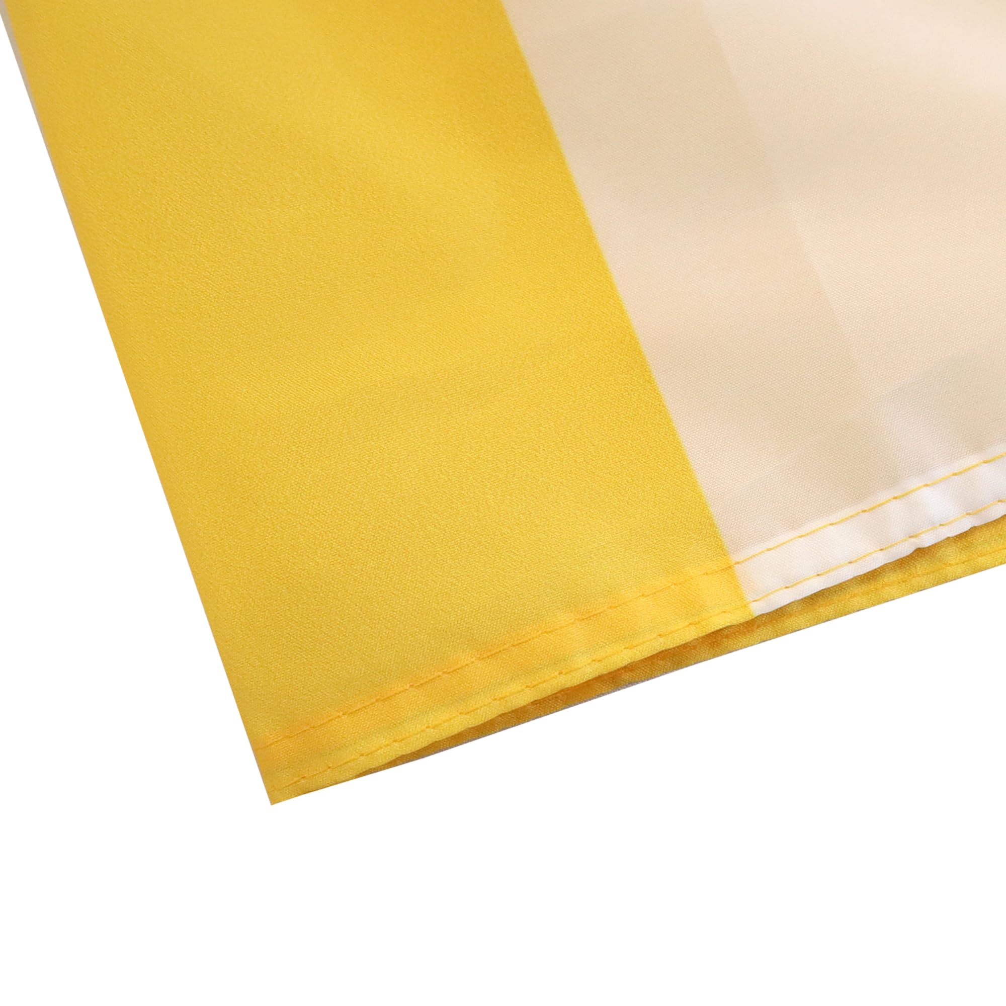 AZ FLAG Vatican Flag 150 x 90 cm with 4 Eyelets for Balcony or Wall, Vatican City, 1 Pièce - Image 4