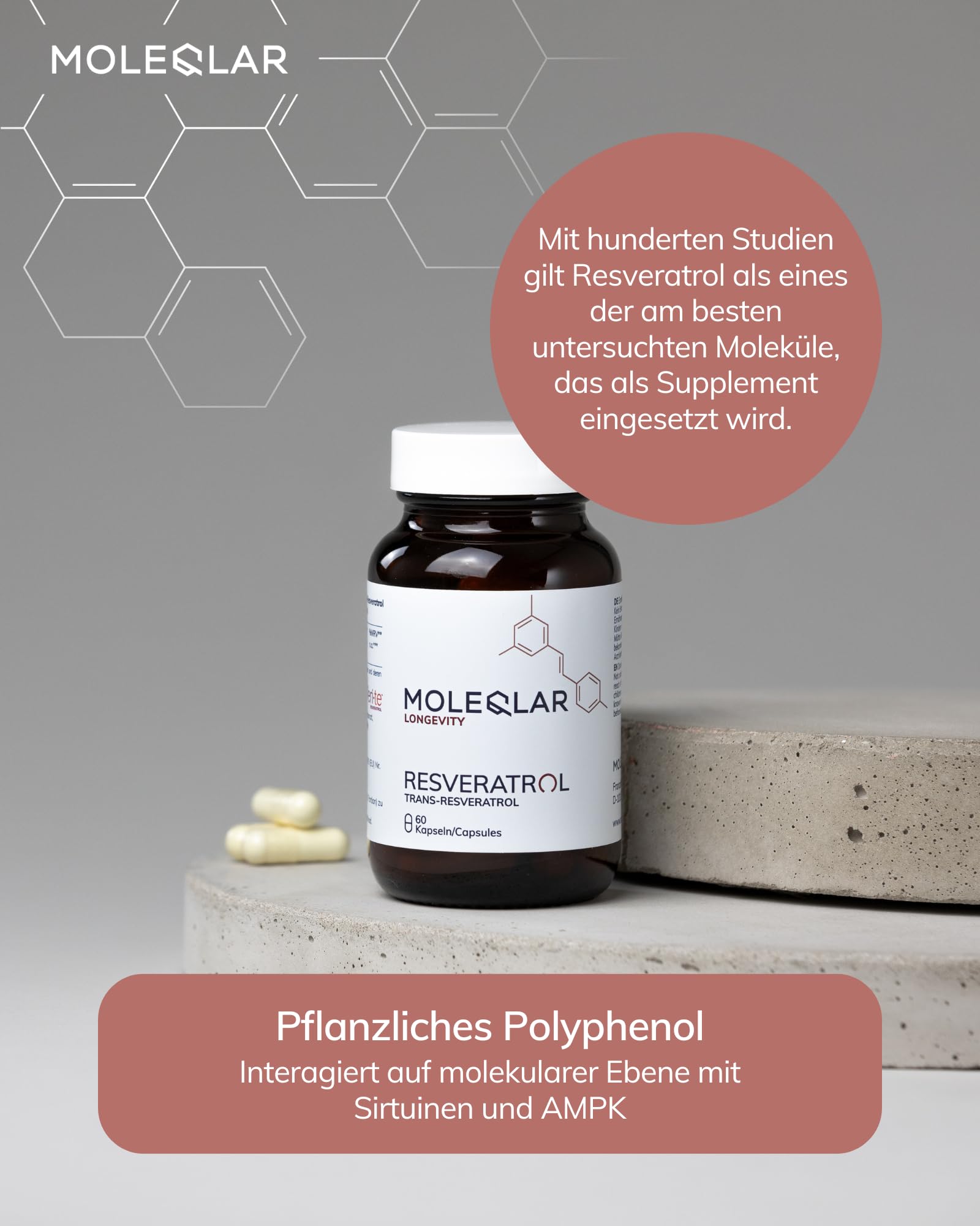 MoleQlar Resveratrol Kapseln 60 Stück - Nahrungsergänzungsmittel aus innovativer Hefefermentation - 500mg Resveratrol pro Kapsel - über 98% Reinheit - Veri-te Markenrohstoff