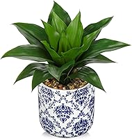 Vista 15 de Briful Suculentas Plantas Artificiales Plantas Falsas de Aloe Vera en Maceta Dorada y Negra de Granja, Planta de Agave Artificial para Decoración