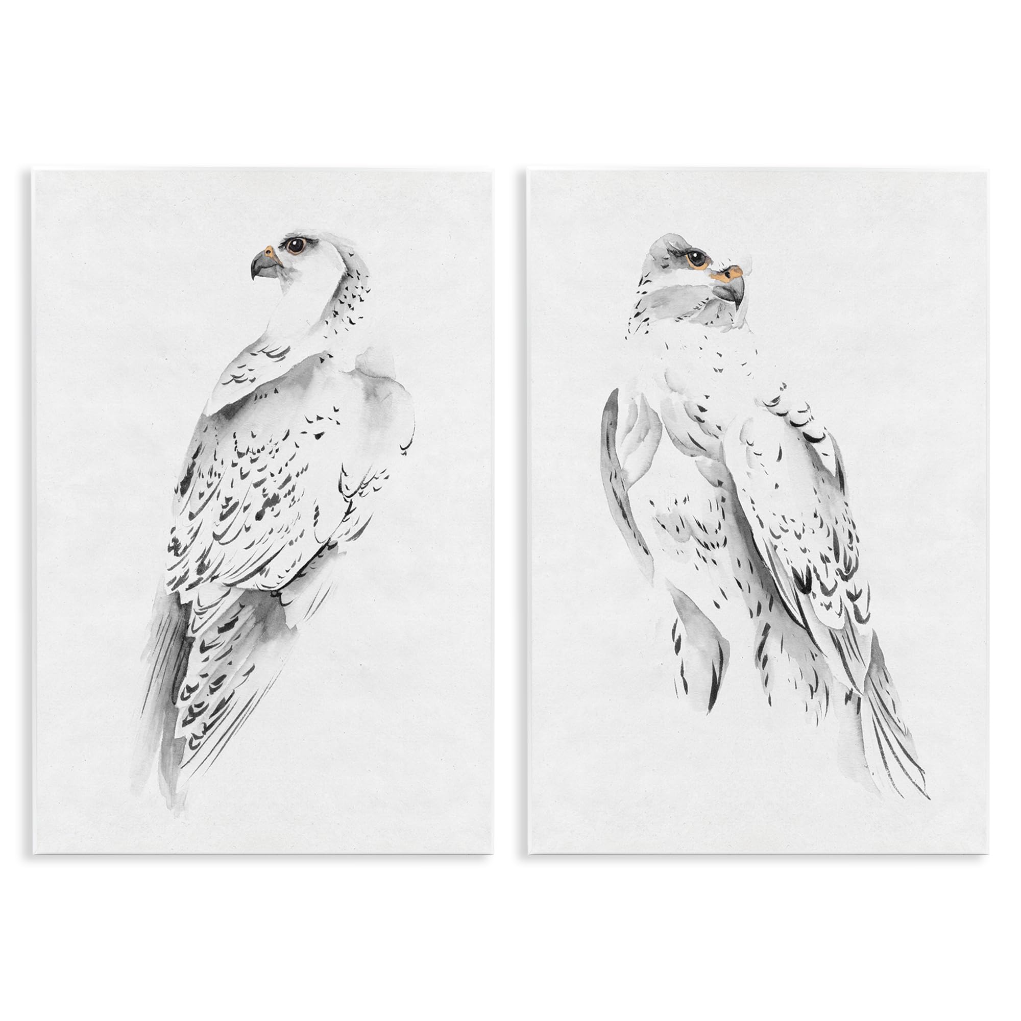 White Hawk Winter Birds, 10 x 15 Inch Mounted Print on Wall Plaque Set