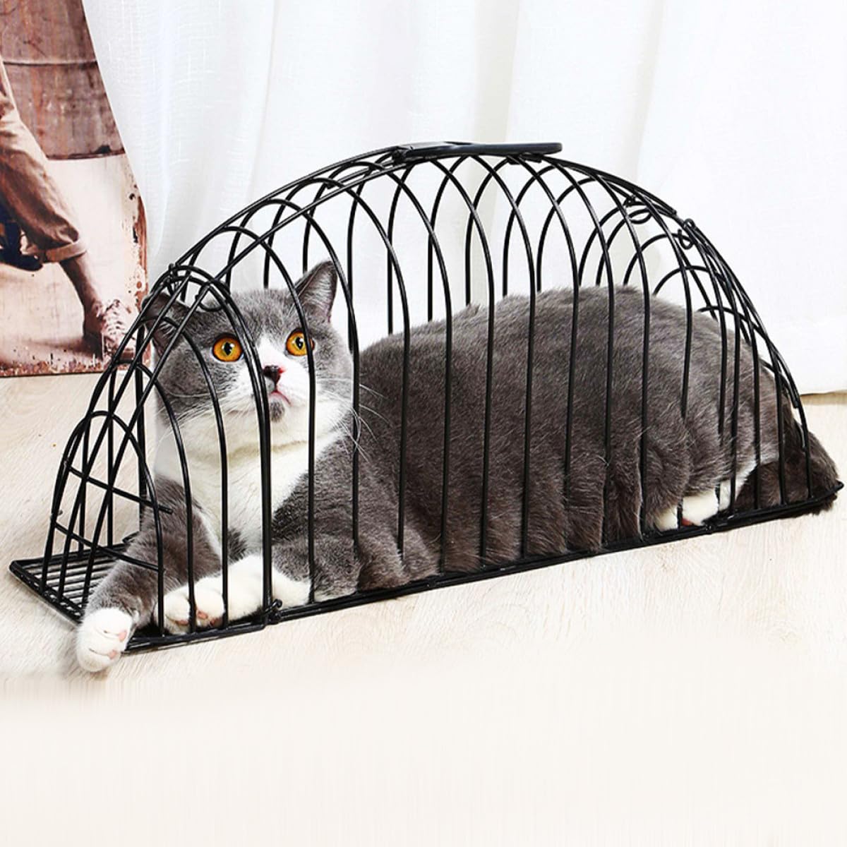 Cage de Bain pour Chat en Matériau Solide Système Anti-Morsures, Cage de Toilettage Adaptée aux Chats Domestiques