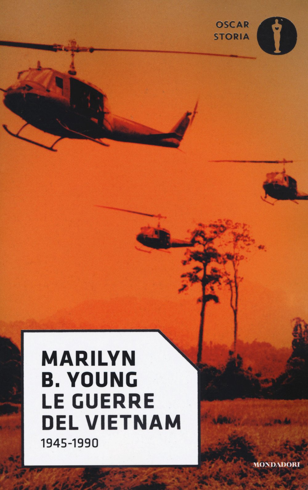 Le Guerre Del Vietnam. 1945-1990 - 4