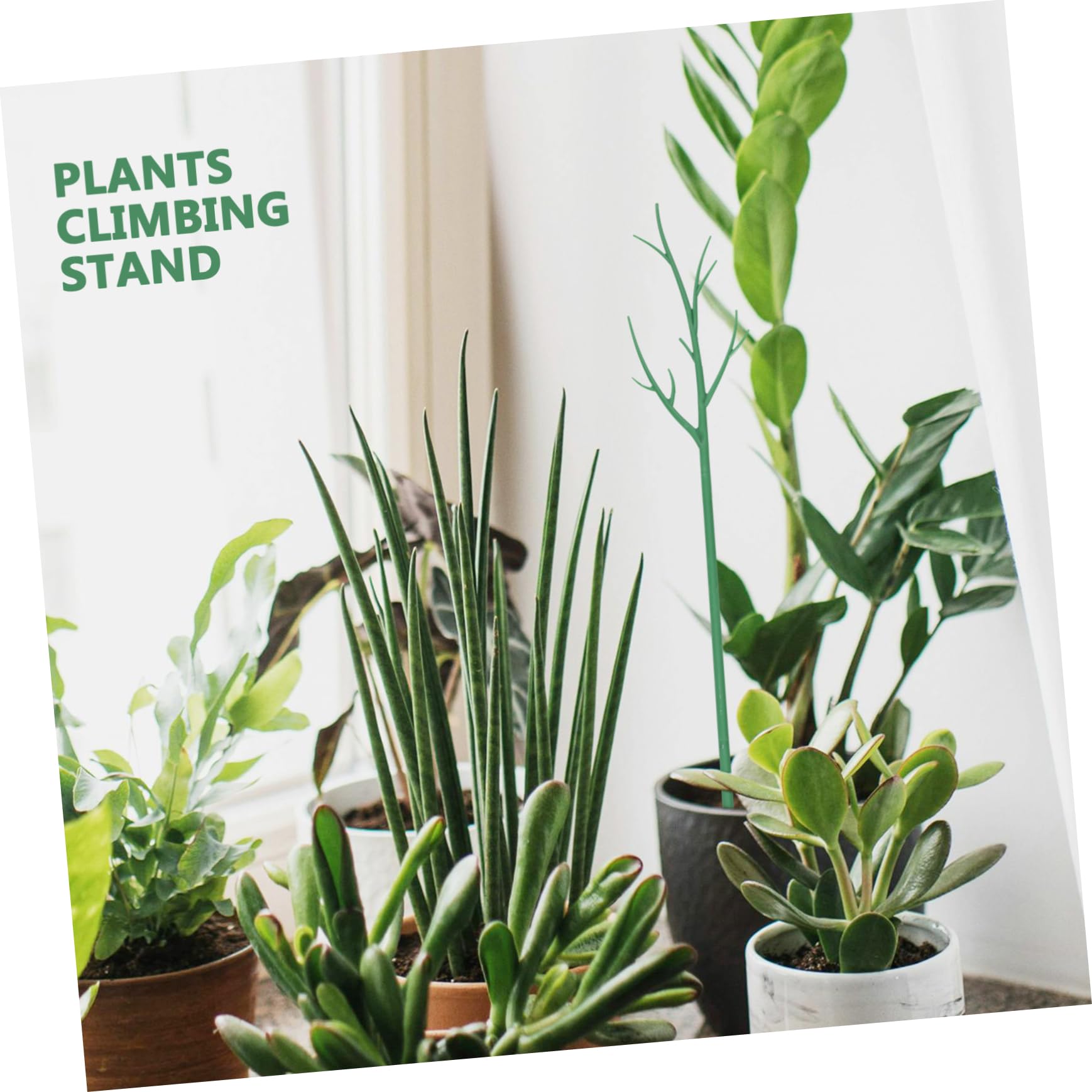 ibasenice Tuteur pour Plantes Grimpantes en Pot Vert 6 Pièces en Plastique