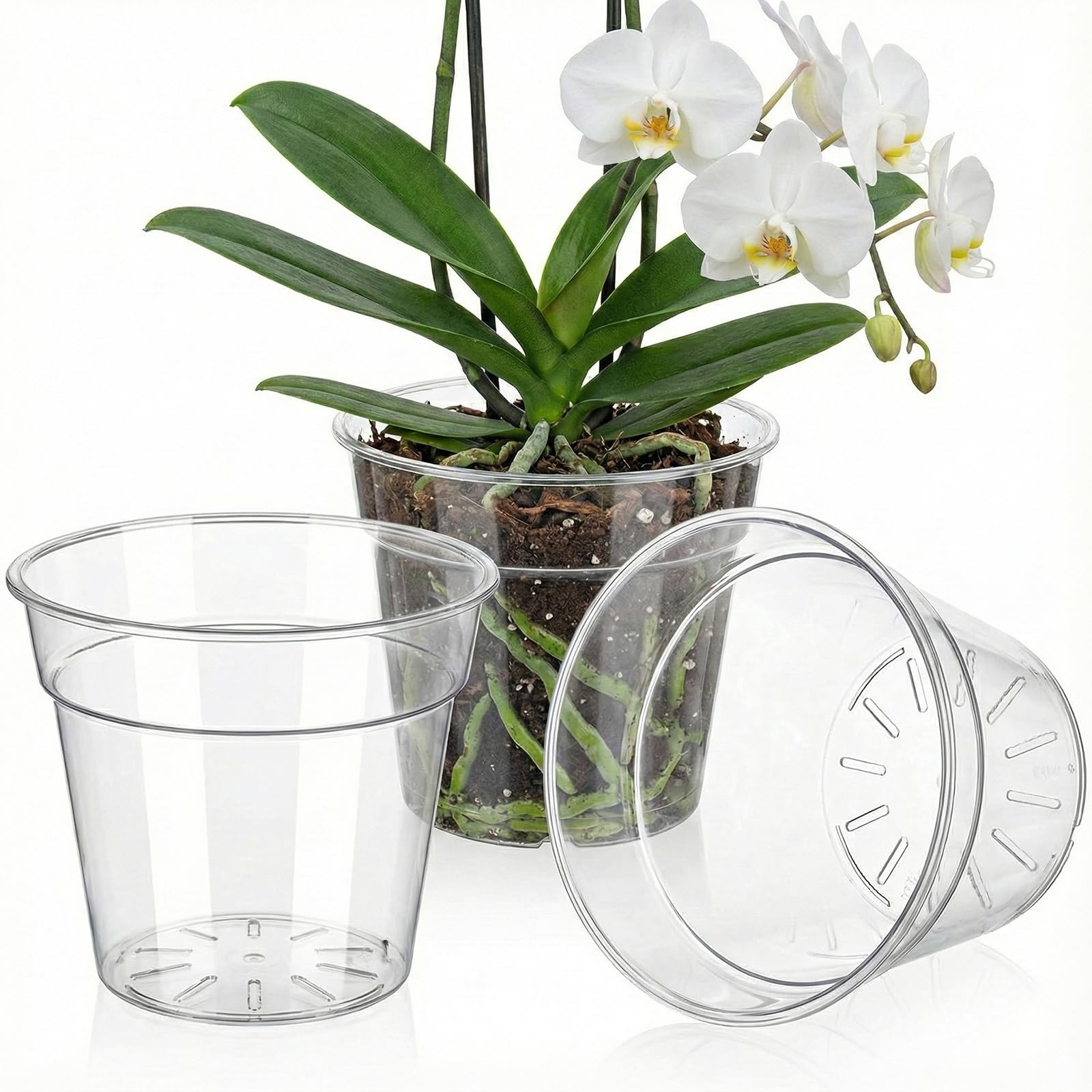 Pots de fleurs transparents pour sublimer la décoration végétale de votre salon ou terrasse
