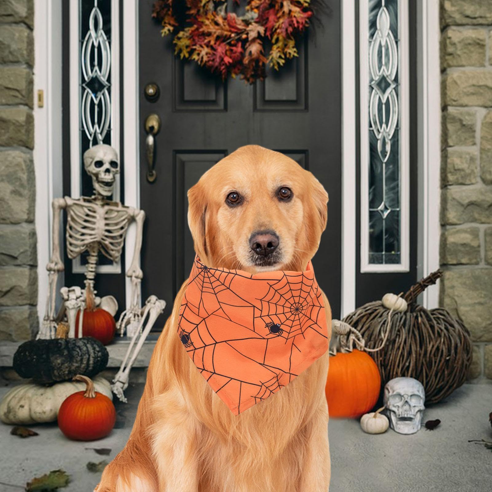 Asciugamano per collo di cane di Halloween, asciugamano per saliva di cane | Asciugamano per saliva lavabile con design a forma di , teschio e , regolabile per costum