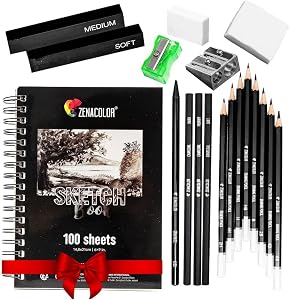 Zenacolor 19-Piece Drawing Kit with Sketchbook – Art Supplies for Beginners & Artists – Includes Drawing Pencils, Charcoal Pencils, Graphite Pencil, Charcoal Sticks, Accessories & 100-Page Sketchbook