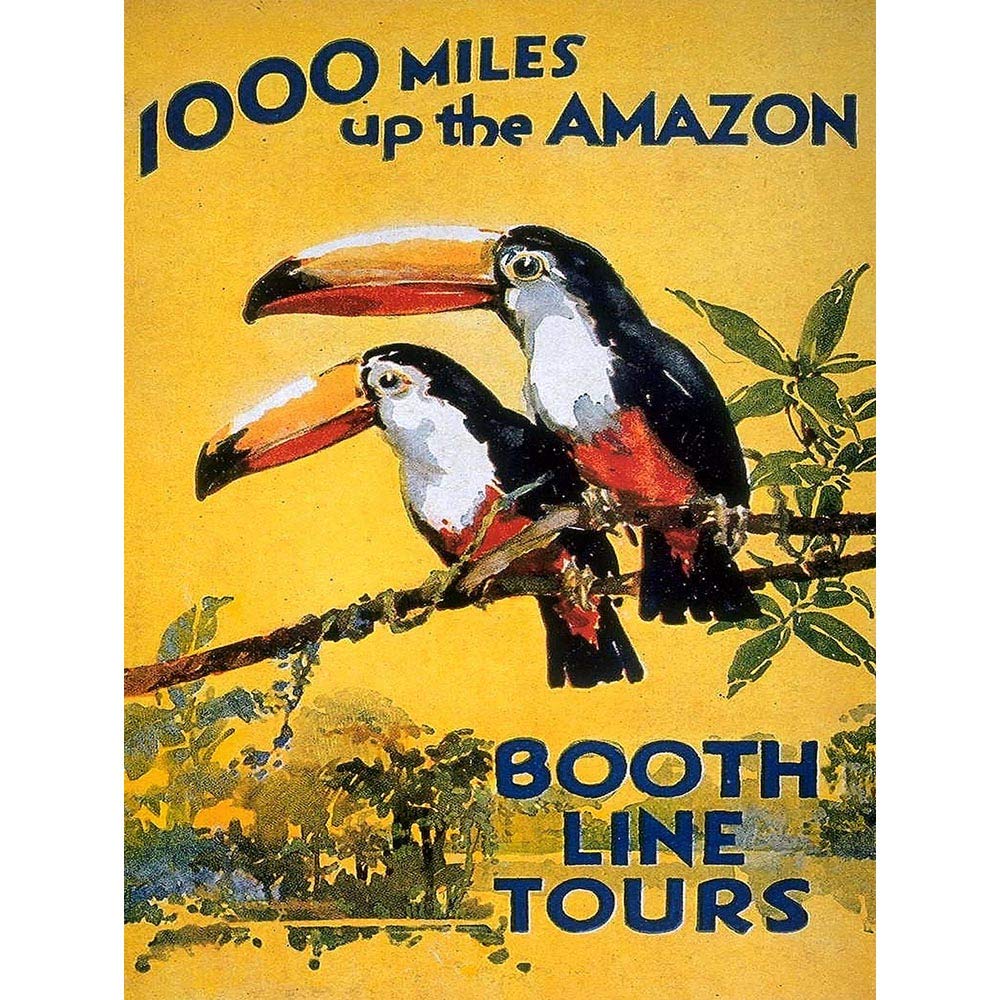 Artery8 Unframed Wall Art Toucan River Brazil South America Jungle Rain Forest Vintage12X16 Inch from B&Q