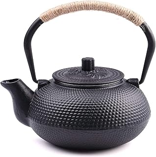 Japanese Tetsubin Cast Iron Teapot Tea Kettle pot with Stainless Steel Infuser for Stovetop Safe Coated with Enameled Interior 22 oz/650 ml