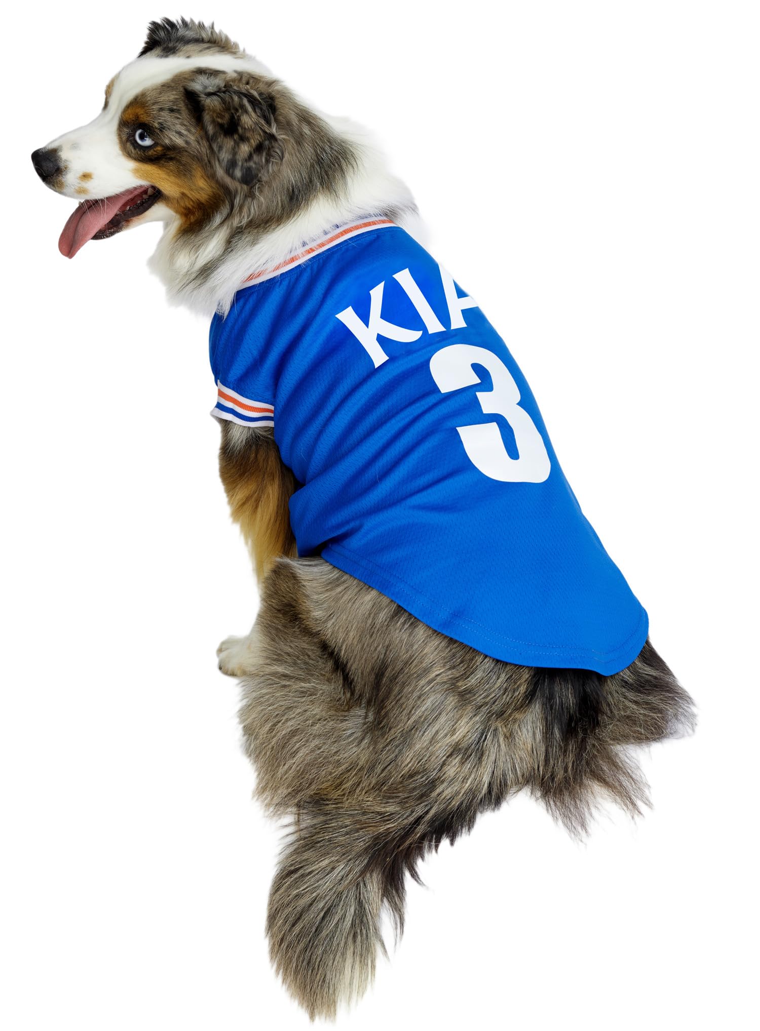 Urban PupOfficial Rangers Football Team Dog Shirt (Personalised with Name and Number) (Large - Dog Body Length: 14" / 35cm)