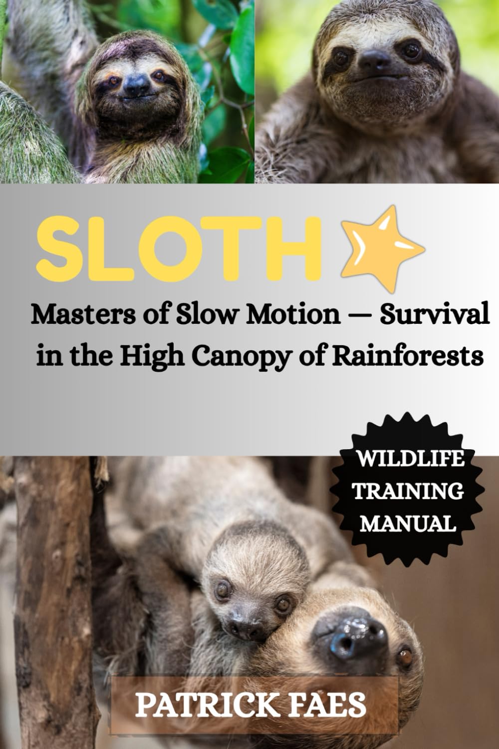 SLOTH: Master of Slow Motion — Survival in the High Canopy of Rainforest