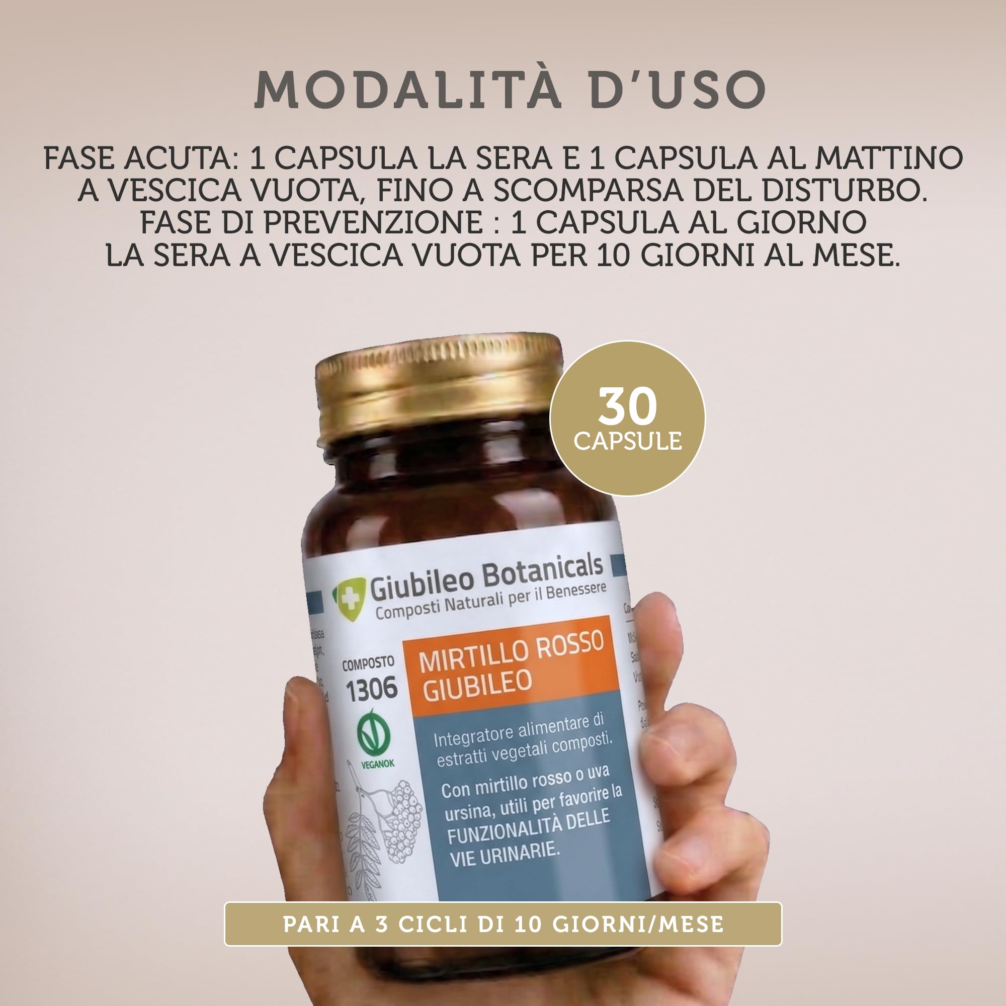 Integratore 100% naturale con MIRTILLO ROSSO E UVA URSINA - utili per la funzionalità delle vie urinarie, con BETULLA - 30 capsule