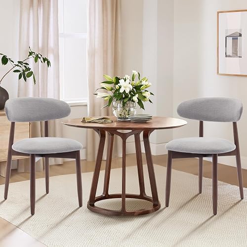 COLAMY Wooden Dining Chairs Set of 2