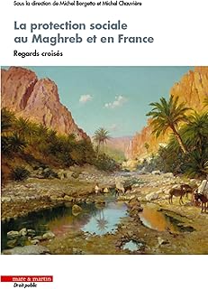 La protection sociale au Maghreb et en France: Regards croisés