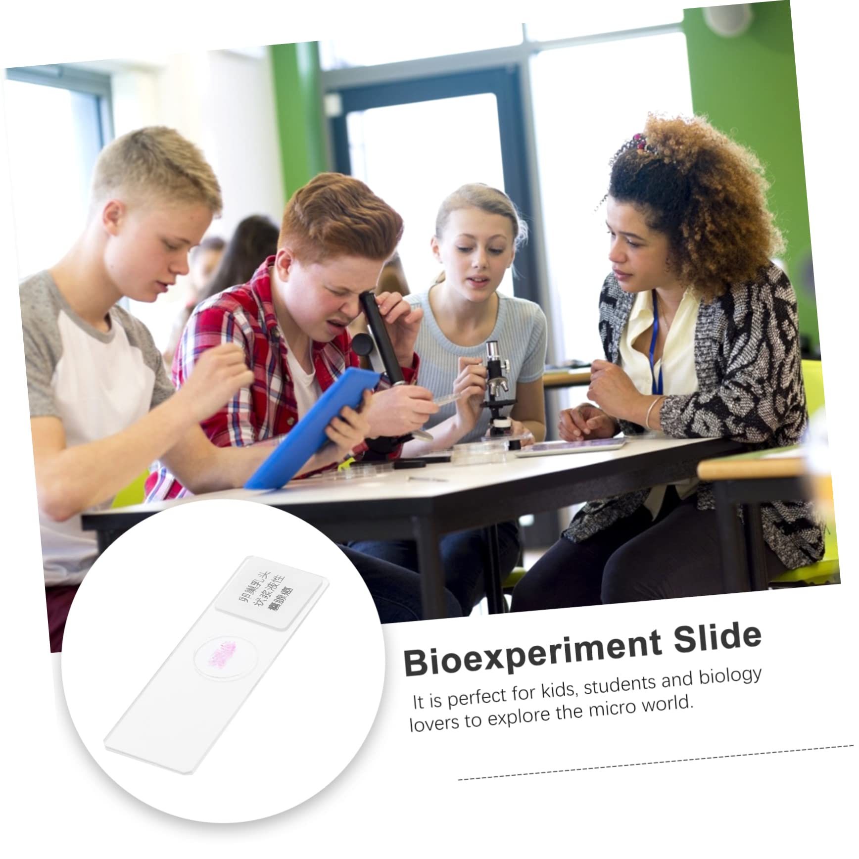 VILLFUL 1pc Pathology Section Microscope Slide Microscope Accessories Microscope Specimen Slide Bioexperiment Slide Biology Class Prop Specimens Science Education Glass