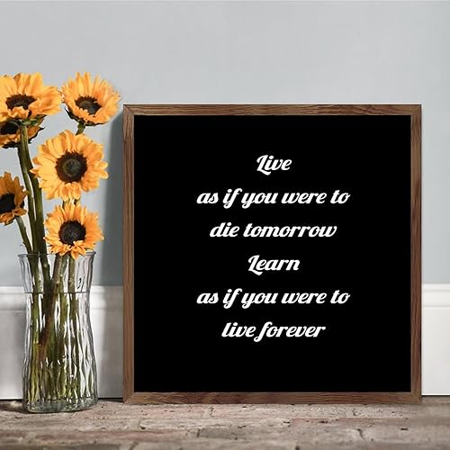 Vista 14 de Letrero de madera con marco rústico con texto en inglés "Peace I Leave with You,My Peace I Give to You", letrero de madera motivacional