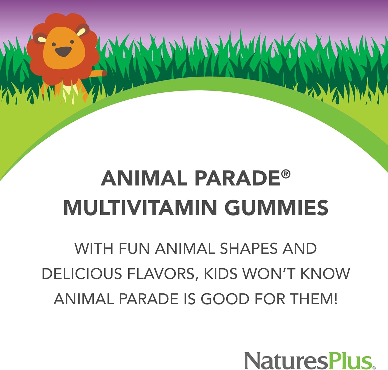 NaturesPlus Animal Parade Multivitamin Children's Gummies - 90 Count - Assorted Cherry, Grape & Orange Flavors - Supports Immune System - Vegetarian, Gluten Free - 30 Servings - Image 2