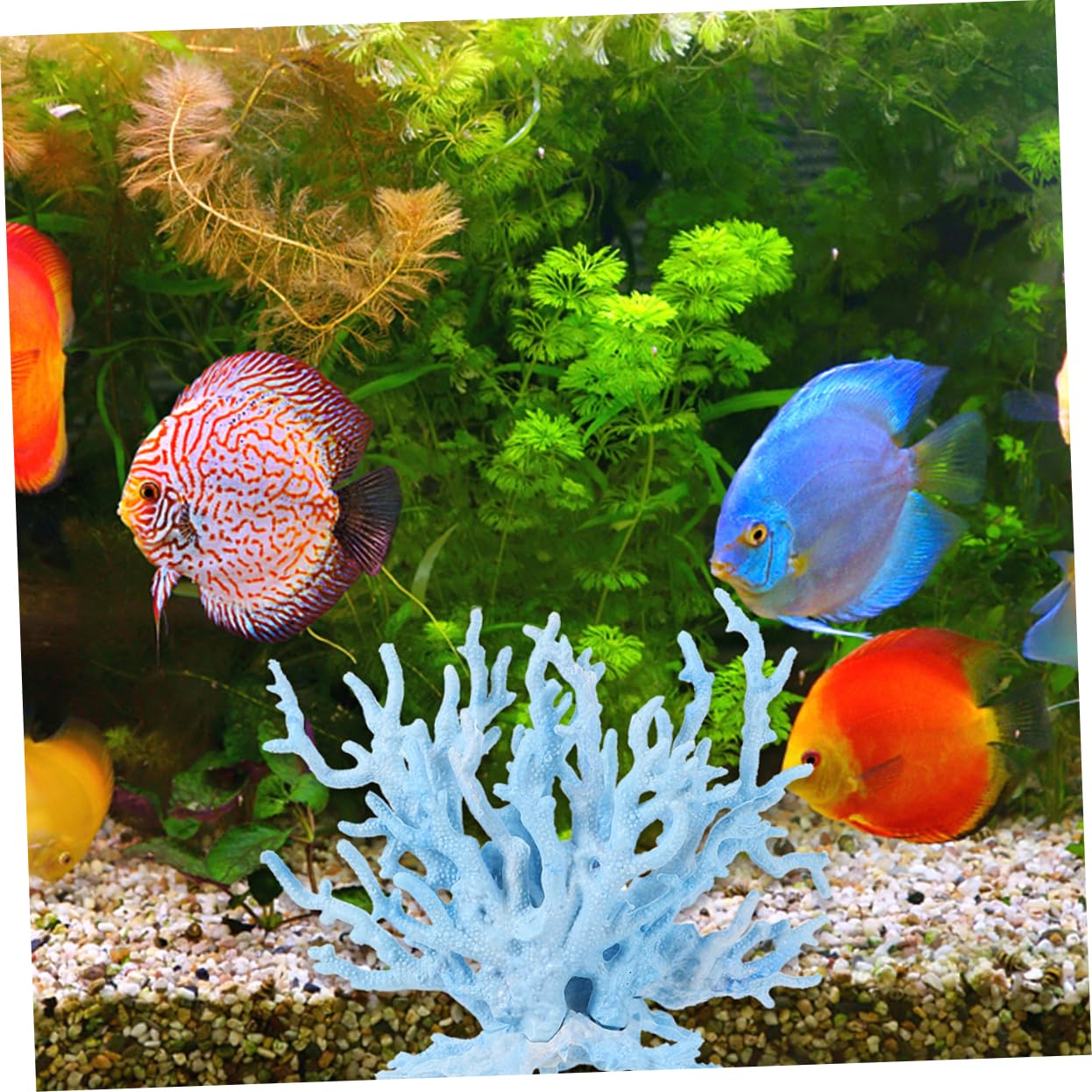 BESPORTBLE Élégant Artificiel pour Aquarium d'eau Douce 4 Pièces Accessoires Décoratifs pour Aquarium