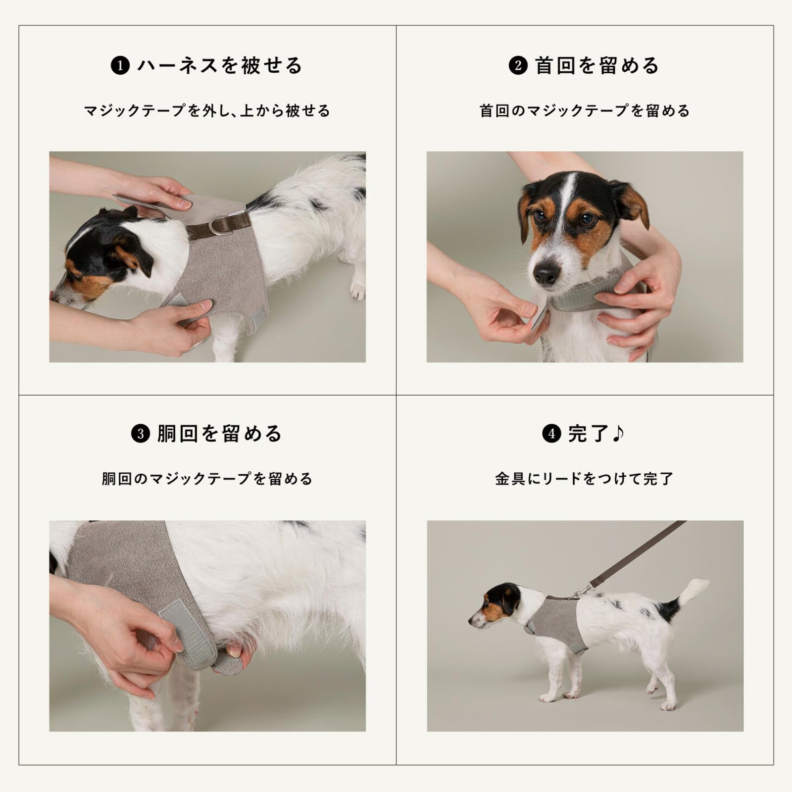 すぐ届く♪citydog 高級スエード ハーネス&リード SET すぐ届く♪citydog 高級スエード ハーネス&リード SET