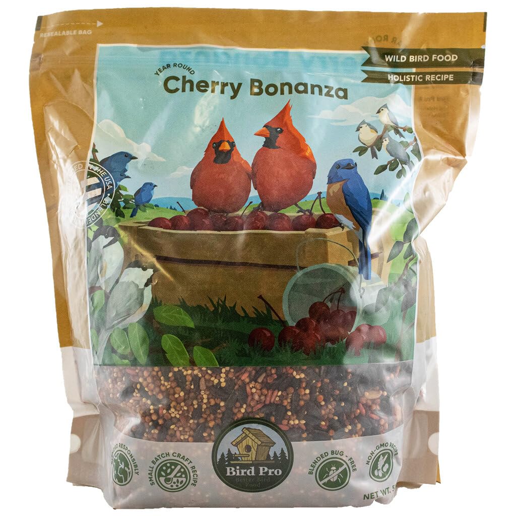 Bird Pro Everyday Economy (40 lb.)