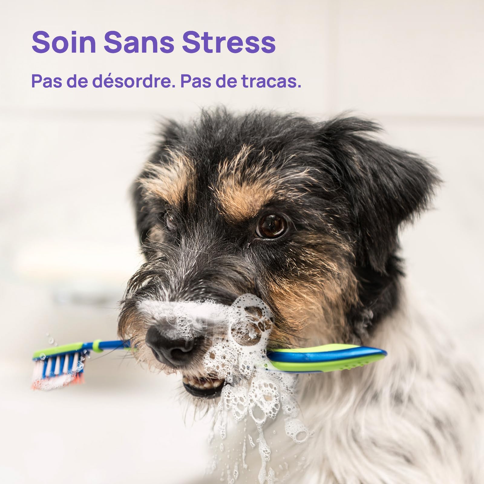 HICC PET Spray buccal pour Chiens & Chats, après Le Repas Contre la Mauvaise haleine, sans brossage, Soin Quotidien, 150 ML