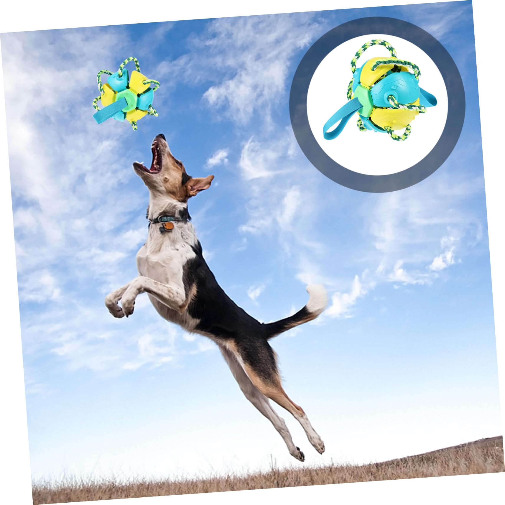 Hohopeti Hundekauspielzeug Interaktives Haustierspielzeug Rebounding Fly Ball Spielzeug für Kleine Hunde und Welpen aus Kunststoff Gelb Blau