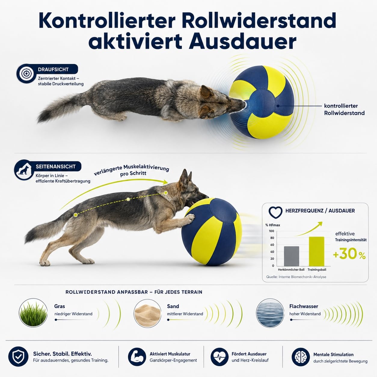 Generisch Herding Ball für Hunde, Treibball für Hunde Bissfest Gross, Aufblasbarer Hundeball, Outdoor-Trainingsgerät für Border Collies, Innenhöfe und Pools (Orange & Blau, 55 cm / 21.65 in)