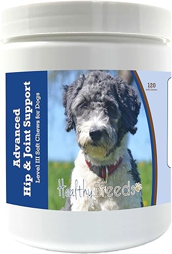 Healthy Breeds Aussiedoodle Advanced Hip & Joint Support Level III - Masticables suaves para perros, promueve una vida activa y cómoda con