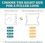 Oubonun 18x18 Boîte de 2 Oreillers à jet, intérieur de coussin carré blanc doux fluffy Plump oreillers inserts pour canapé-lit