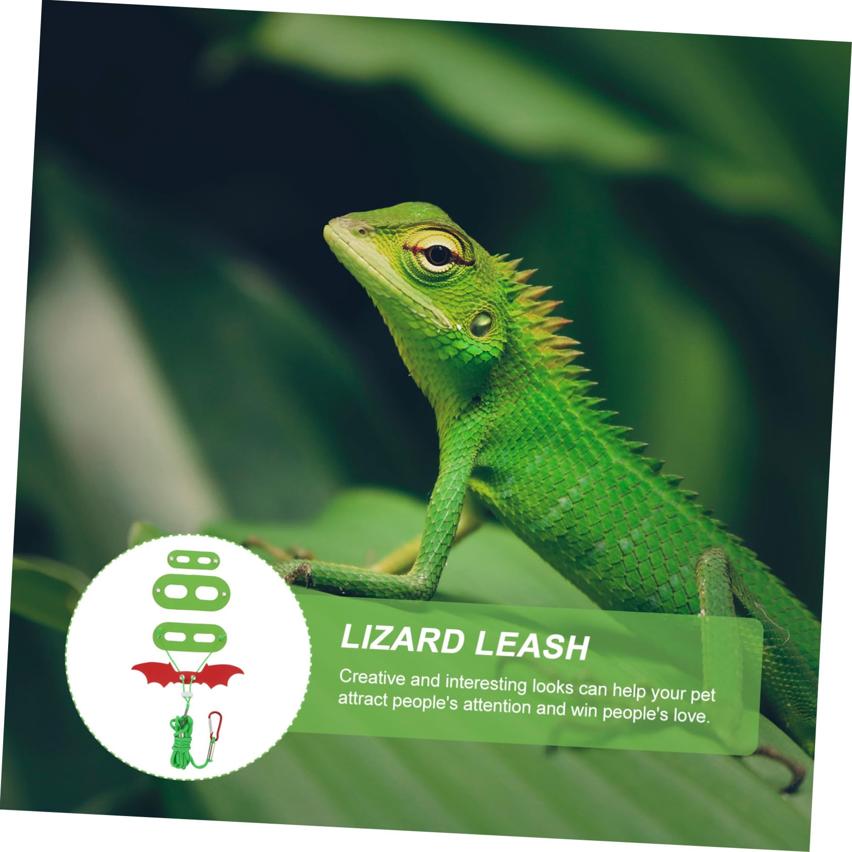 VICASKY Cute Lizard Harness Leash Pet Crawling Leash Hammock Reptile Accessories for Daily Wear