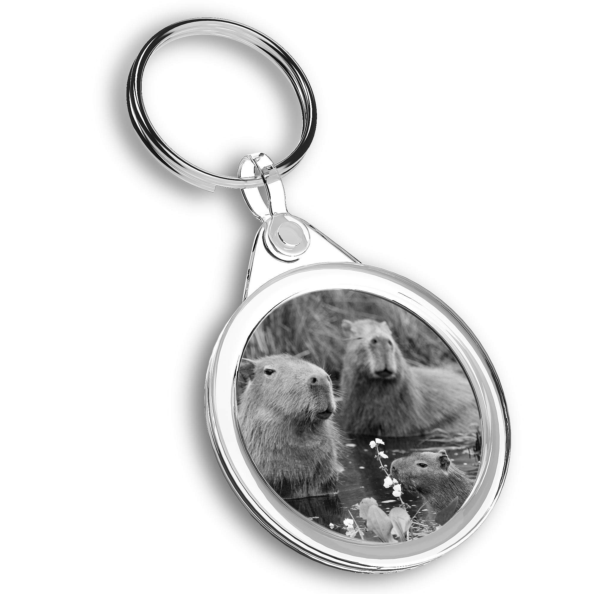 Destination Vinyl Ltd Unisex Multi 1 X Photo Keyring - Capybara Swimming Family |Keychain|Keyring|Charm| #42655
