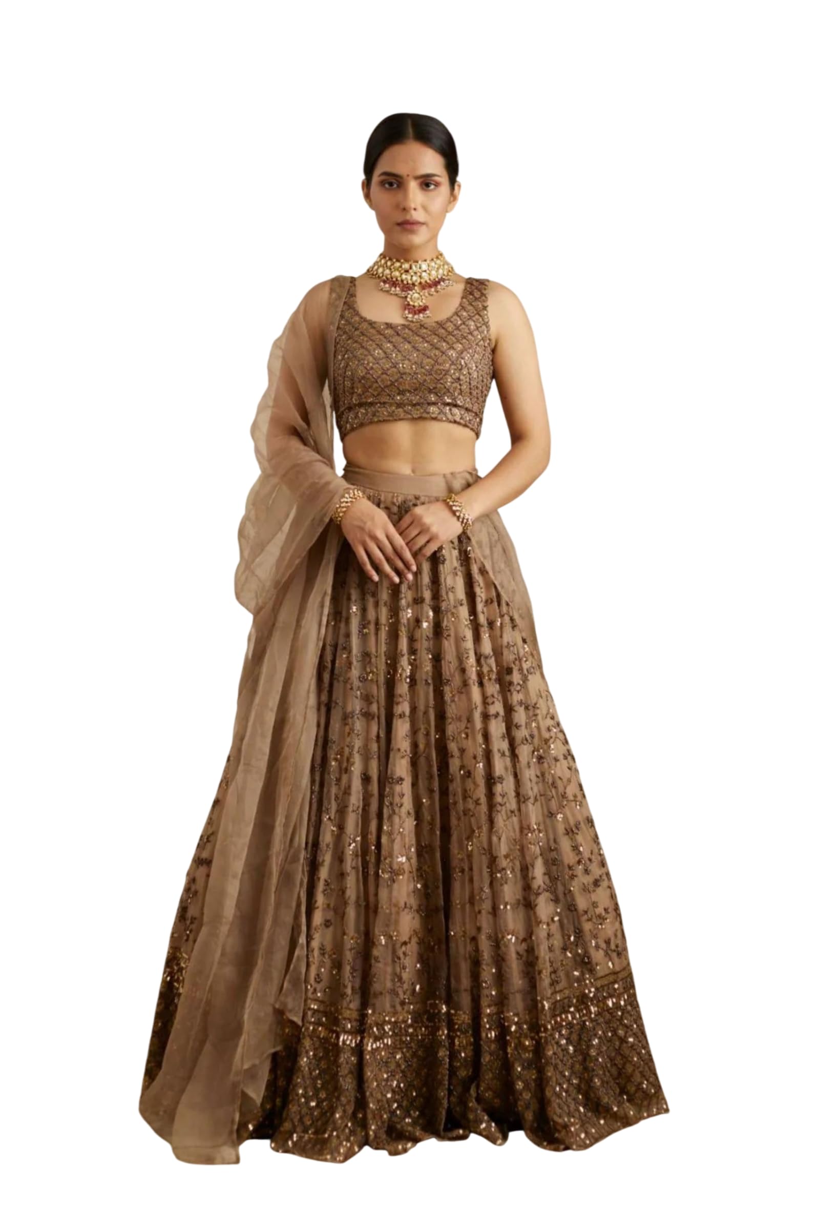 Embroidered Net Lehenga Choli Set, Taupe, Sequins with Zari Work, 3.50 Meter Flair, with Dupatta-image-25