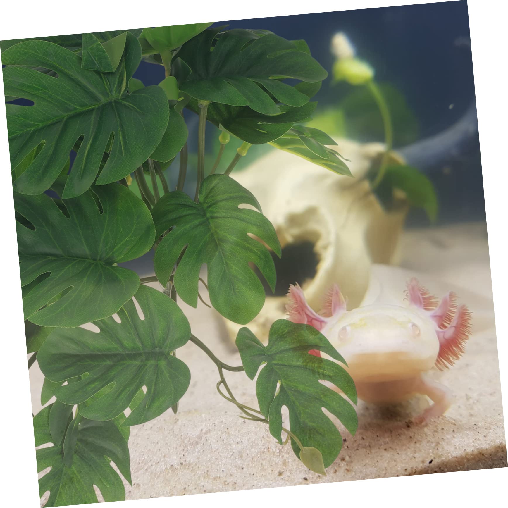 POPETPOP 5stücke Terrarium Kunstpflanze Für Aquarien Und Reptilienbecken Lifelike Fake Plant Dekoration Einfach Zu Pflegen Für Eidechsen Und Geckos Pflanzenverzierung
