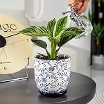 Pots de planteur à suce en céramique - petit 4.6 1 cm / 11.5 cm Pot de fleurs avec trous de drainage et des soucoupes pour plante intérieure, Cactus, Herbes, Plantes d'extérieur, Décor maison, Ensemble de 4, Bleu Vintage