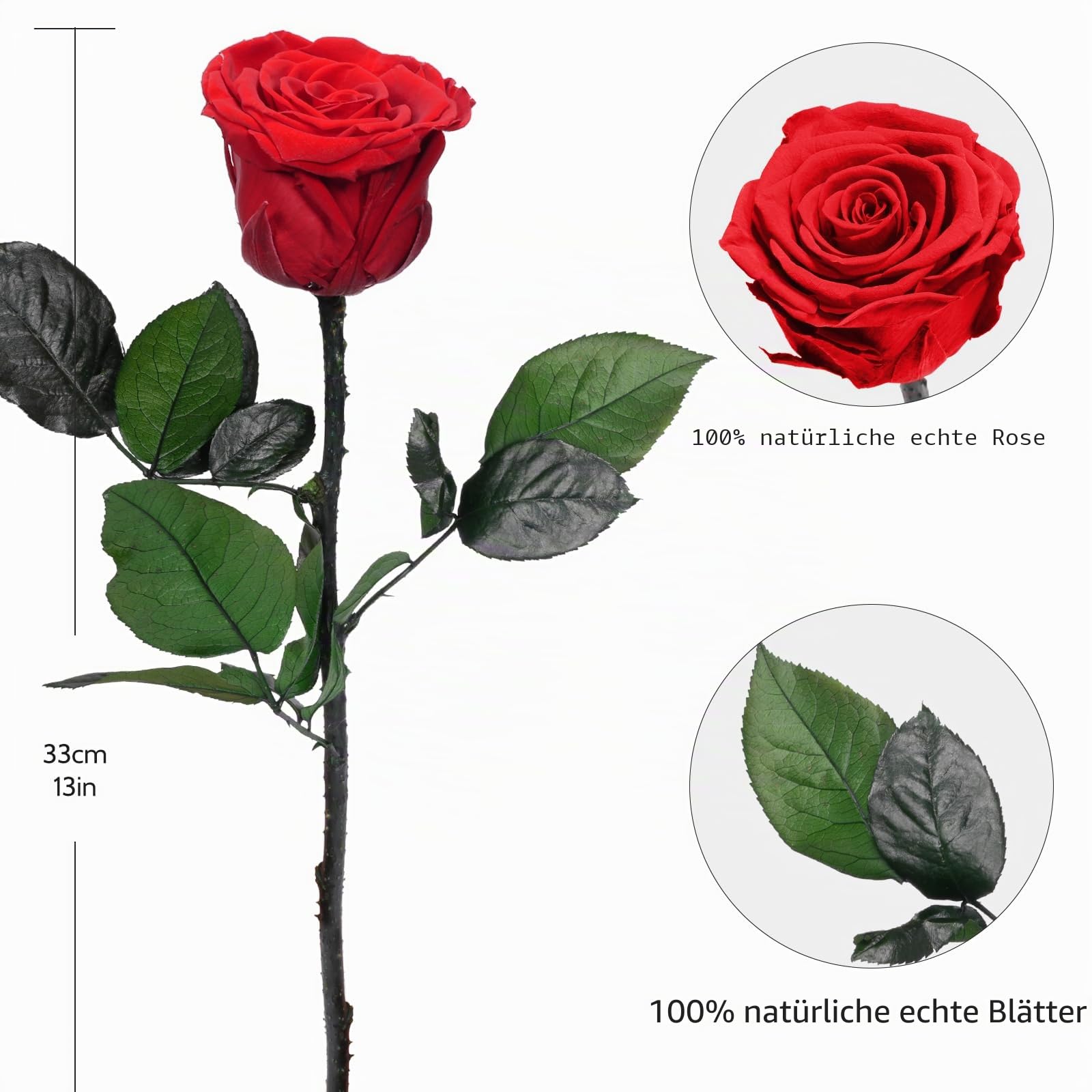 Yamonic Ewige Rose Geschenke für Frauen,Infinity Rose mit Stiel Geburtstagsgeschenk für Frauen, Echte Rose in Geschenkbox,Konservierte Blumen Geschenk Weihnachten Valentinstag Deko Geschenk, 5 Rosen