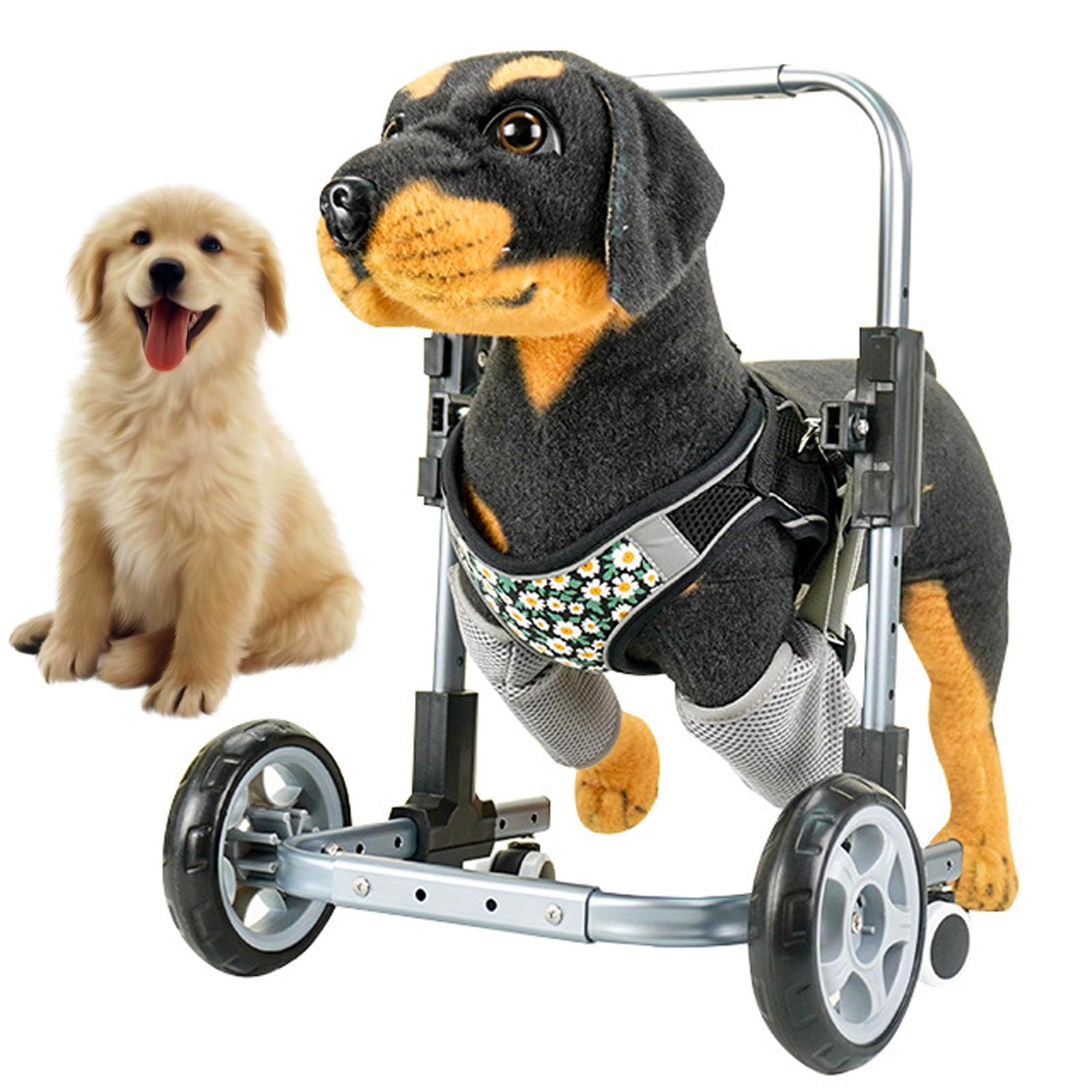 Silla de ruedas para perros discapacitados, arnés de soporte de 4 ruedas, ayuda de rehabilitación de patas delanteras, cochecito ajustable para perros grandes y medianos