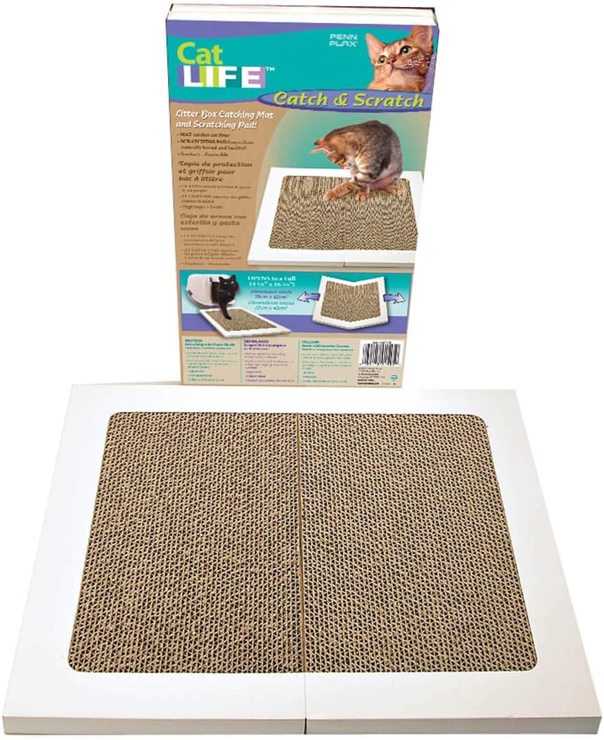 Cc catch 2022. Catch life. Catch life. Deep life. Catch life.