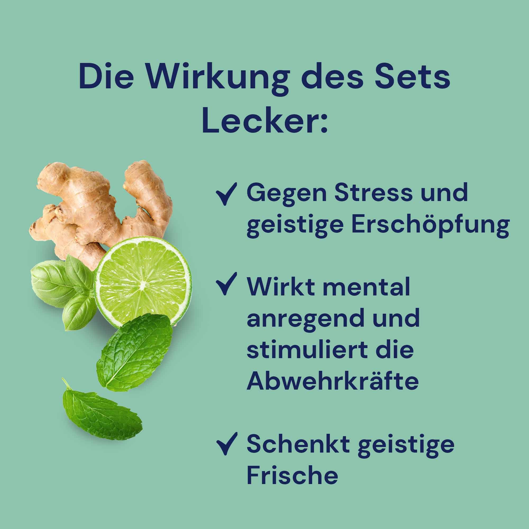 esencias sabroso para saunas: „Hierba limón-Albahaca“ / „Jengibre-Lima“ / „Menta helada“ (3x190 ml) de Spitzner