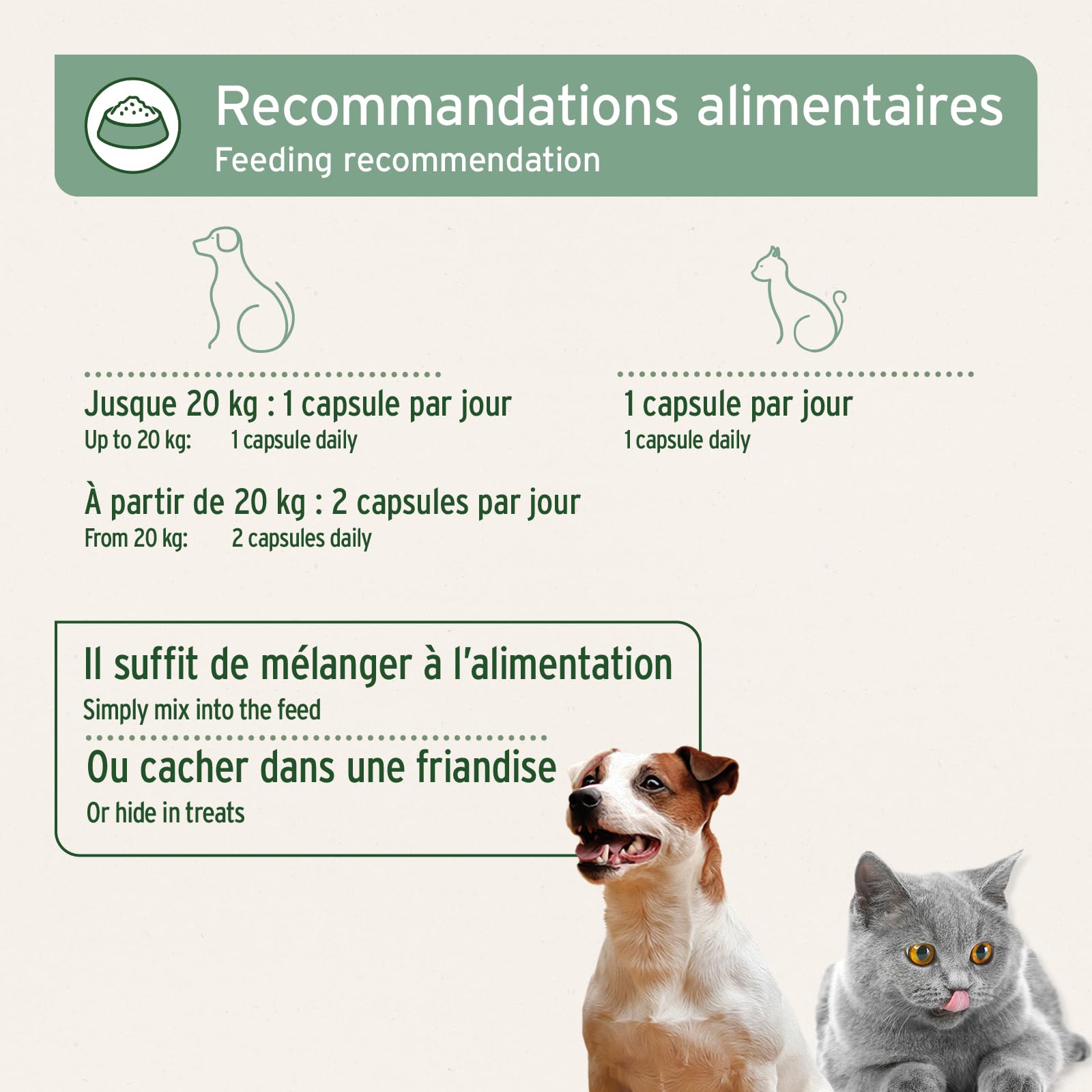 AniForte Gélules d’Huile de Saumon 500 pour Chiens & Chats – Poisson Riche en Oméga‑3 & 6, Vitamines pour Pelage, Os et Santé Globale