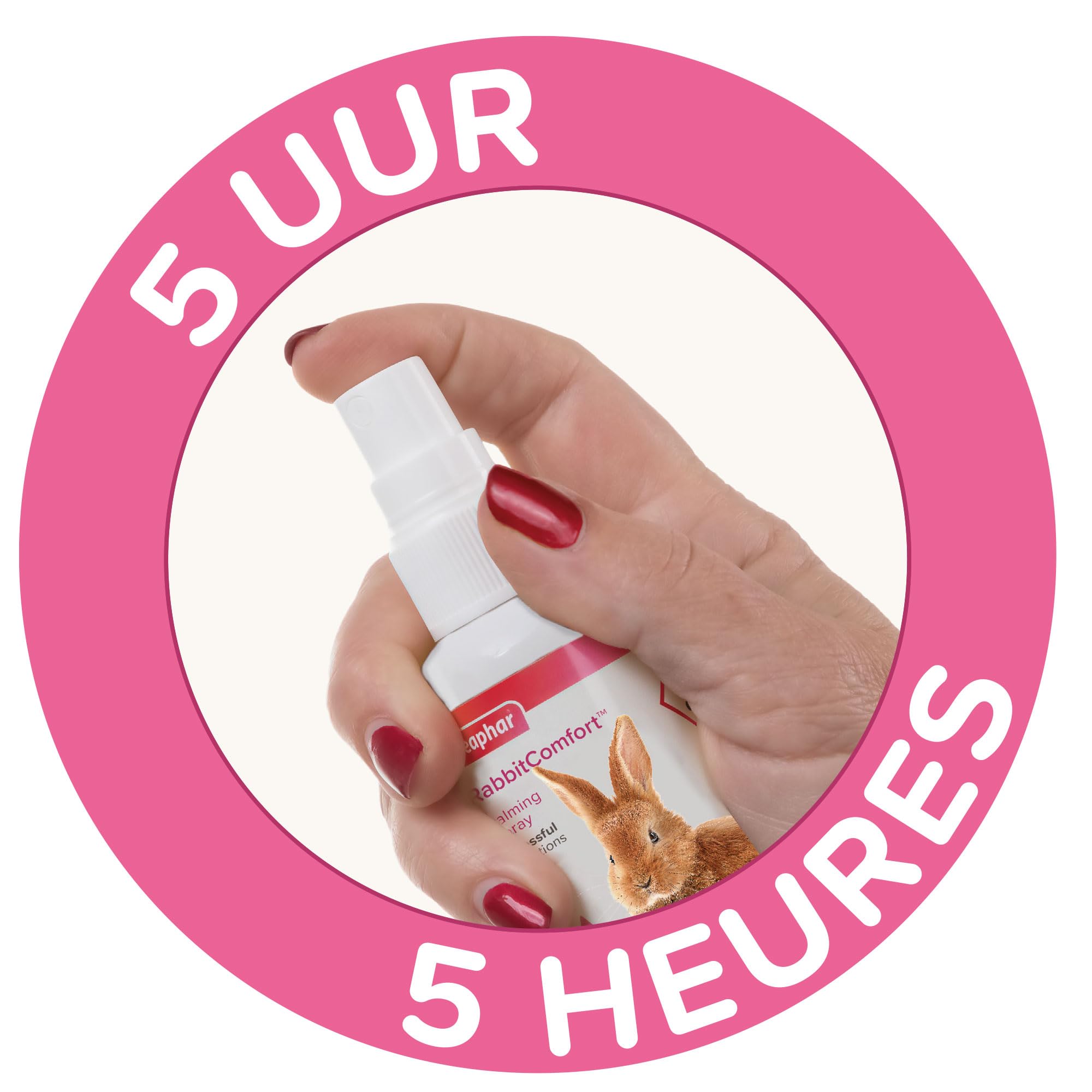 Beaphar – RABBITCOMFORT – Spray Calmante ai Feromoni per Coniglio – Riduce Lo Stress e i Problemi comportamentali – Pronto all'Uso – Flacone da 30 ml = 214 Spruzzi