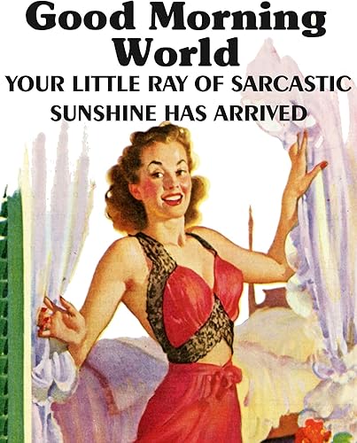 Baldfrog Images Good Morning World Your Little Ray of Sarcastic Sunshine has Arrived - Imán de nevera de 2 x 3 pulgadas, diseño vintage, regalo de