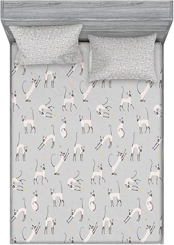 Miniatura 119 de Ambesonne Juego de sábanas bajeras y fundas de almohada, dibujos de aviones antiguos, vuelos clásicos con fechas, estilo vintage, diseño nostálgico,