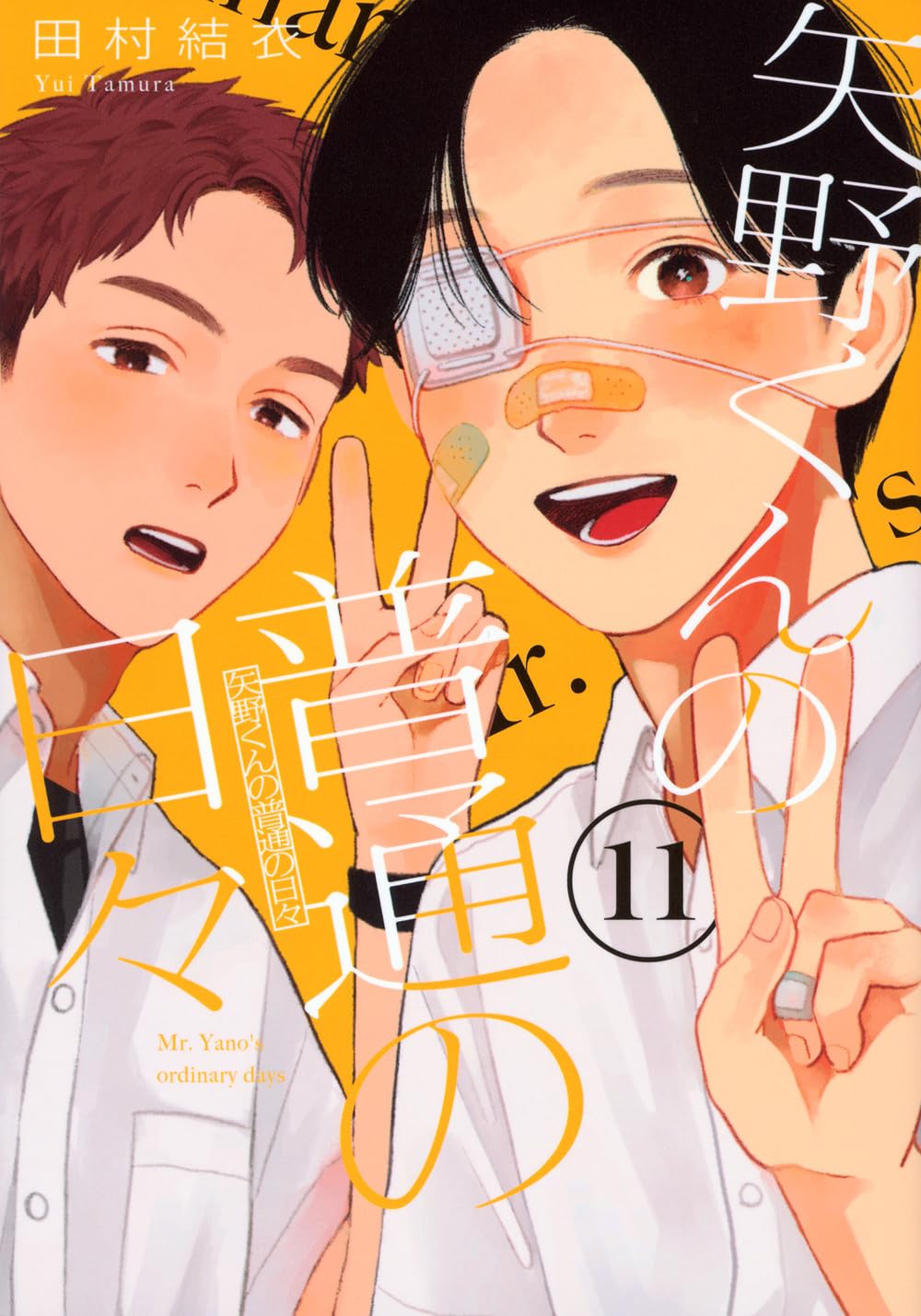 矢野君の普通の日々　既刊全巻11冊 矢野くんの普通の日々（11）』（田村 結衣）｜講談社
