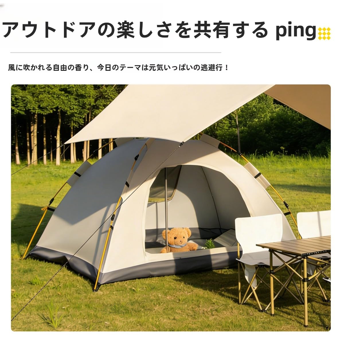 ①テント Amazon.co.jp: Traxomi全自動テント、完全密閉型、防蚊、厚手、日焼け